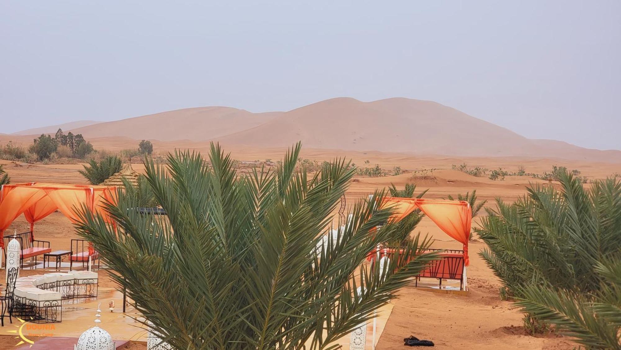 Fox Luxury Desert Camp 메르주가 외부 사진